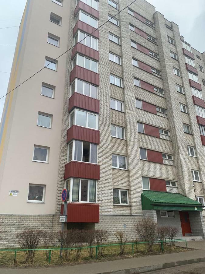 Ореховая Горка Апартаменты С Балконом И Лифтом Narwa Zewnętrze zdjęcie